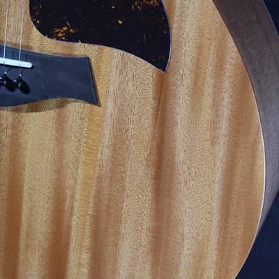 Taylor Guitars 24ce Mahogany Top Grand Auditorium w/ Fishman Electronics image 21
