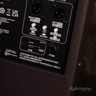 Fender Acoustic Junior GO image 6