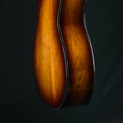 Taylor PS14ce Presentation Series Honduran Rosewood and Adirondack Spruce with Pickup Used (2025) image 24