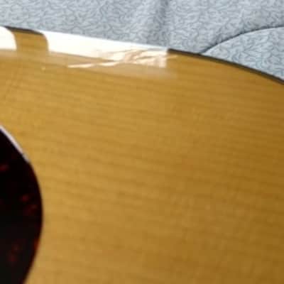Martin Model America 1 Adirondack, GE bracing, left-handed image 12