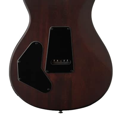 PRS SE DGT Burl Ltd - McCarty Tobacco Burst image 3