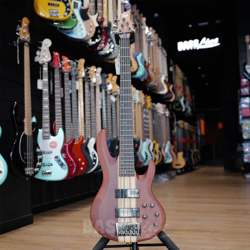 ESP LTD B-5 image 1