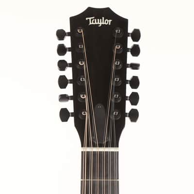 Taylor  250ce Deluxe image 3