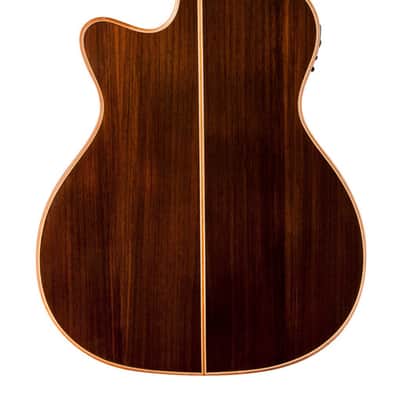 Washburn WCG25SCE Comfort Series Grand Auditorium Cutaway w/ Fishman.  New with Full Warranty! image 19