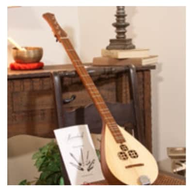 Roosebeck DMWR | Wildwood Dulcimer Rosewood with 3 Round Openings, Flat Pegbox. New with Full Warranty! image 10