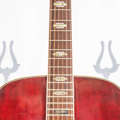 Daion BIT Series B-54E Wine Red "Snake Loaded" Japanese Market Model image 2