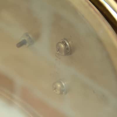 DW Over Brass Snare 14x5 image 10