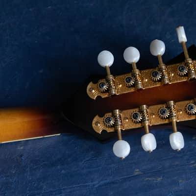 Epiphone 1983 Epiphone MM-50 image 9