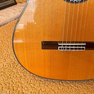 Cordoba C10 Cedar Classical Guitar – Very Good Condition, Pre-Yamaha Era (2019) image 6