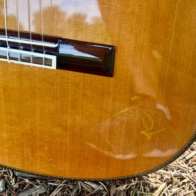 Yamaha GC-41C Grand Concert Classical Acoustic Guitar image 6