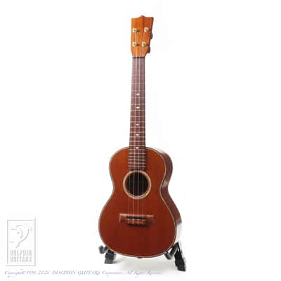 KAWAKAMI GUITARS＜MIJ> T-1M DX 2006 image 2