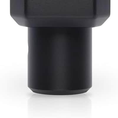 Immagine Lewitt Audio LCT 440 PURE Large-Diaphragm Condenser Microphone+Shockmount - 8