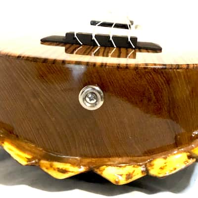 Turtle Shell Tenor Ukulele image 6