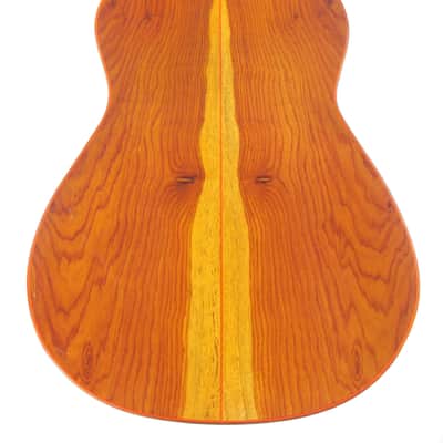 Gerardo Escobedo 2018 - absolutely stunning classical guitar - lightweight, lively and explosive - check video! image 6