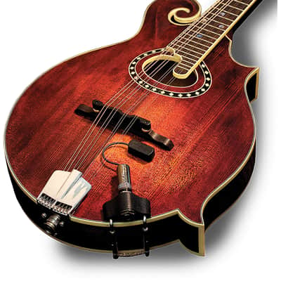 LR Baggs RADM Radius Mandolin Pickup w/ JACK image 5