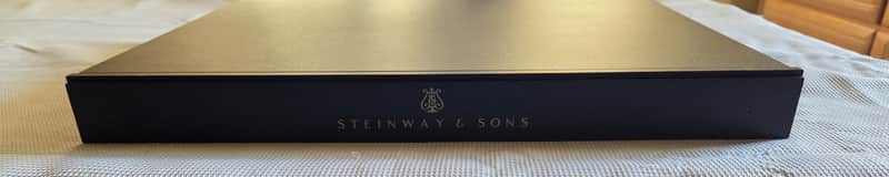 Steinway & Sons Lyngdorf Model A1 home theater power amplifiers