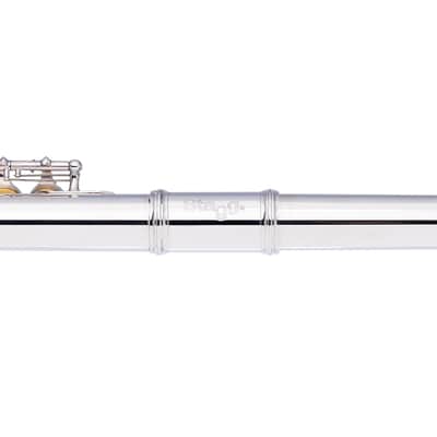 Stagg WS-FL111 C Flute Closed Holes Offset G Split E w/Soft Case, Cleaning Swab, Cloth & Gloves image 8