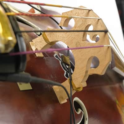 Upright Bass Owned by Brian Setzer image 23