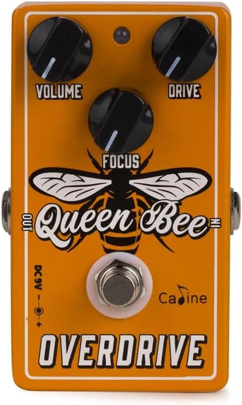 Caline CP-503 Queen Bee Overdrive 2024 - Orange image 1