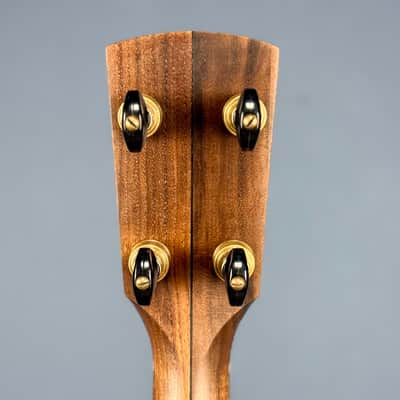 Custom Rickard Dobson 11" Banjo Walnut with North Star Tailpiece image 16