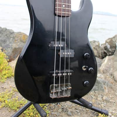 Fender  P-J Bass (Precision Jazz Special) Japan Duff PJ-555 JV  1984  Black image 12