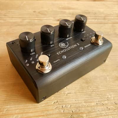 Pigtronix ECHOLUTION 3 - Multitap Digital Stereo Delay image 4