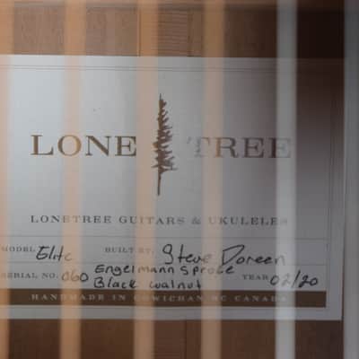 Lone Tree Small Jumbo 2020 - Gloss Top Bild 14