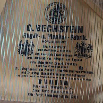 Immagine Bechstein V 1903 - Black Polish - 8
