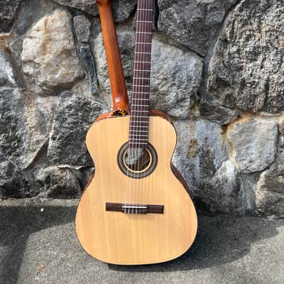 Goodman Double neck Guitar -Steel String/Nylon String-one of a kind! image 4