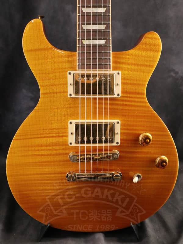 Gibson Les Paul Standard DC image 1