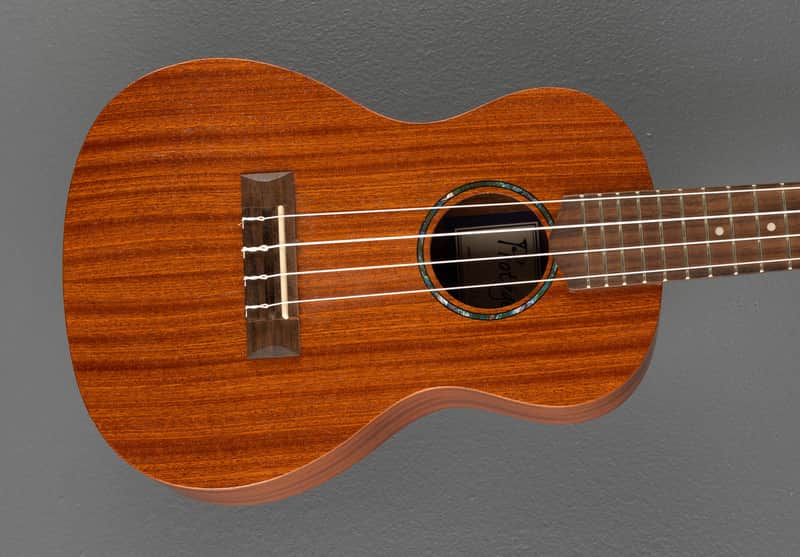 Cordoba Protege U1-M, Recent image 1