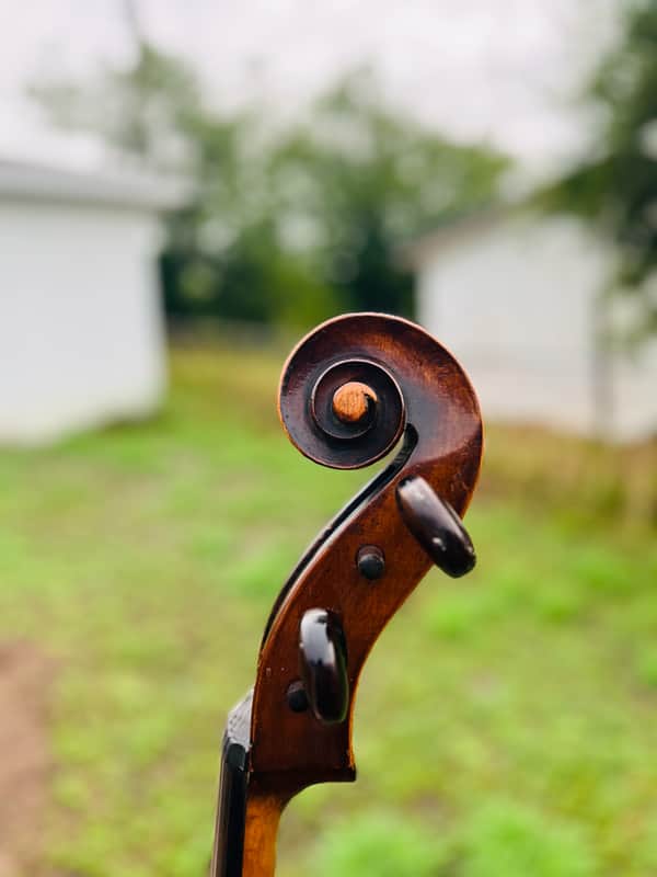 Giuseppe Petrazzini  Cello 1890's Italian Labeled image 1