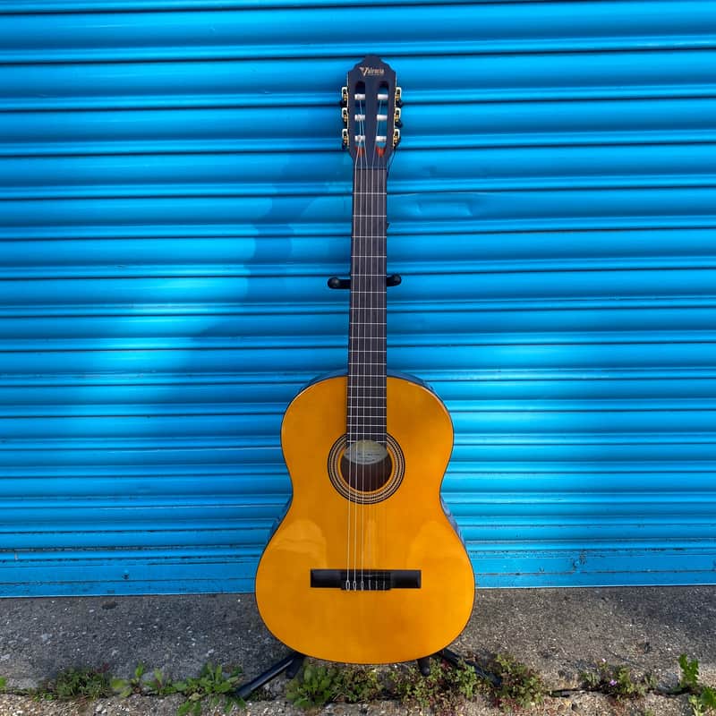 Stentor Valencia 260 Series Classical Guitar Inc Valencia Case…