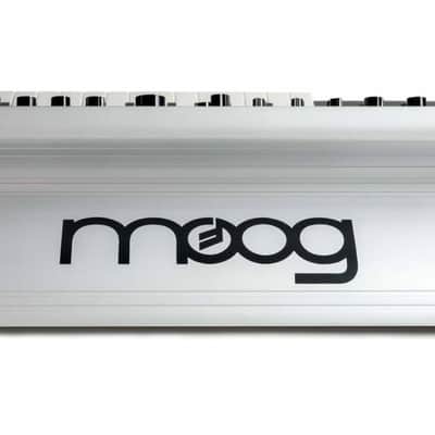 MOOG MUSIC SUBSEQUENT 25 Sintetizzatore Analogico Duofonico 25 Tasti image 3