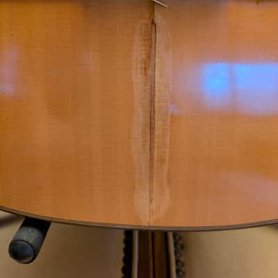 Aria AC-80 1980s - Natural Gloss image 4