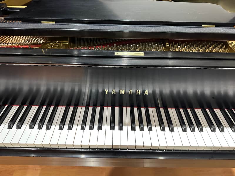 Yamaha C3B 1978 - Satin Black image 1