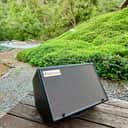 Friedman ASM-10 2-Way 500-Watt 10" Powered Guitar Amp Modeler Monitor 2018 - 2019 - Black