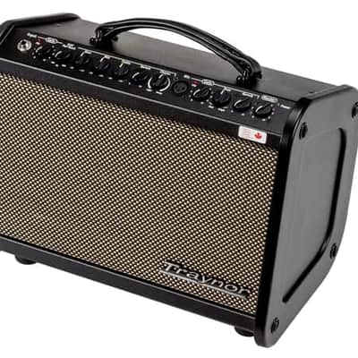 Traynor AMMINI | 65W Acoustic Guitar and Mic Amp. Demo Model with Full Warranty! image 1
