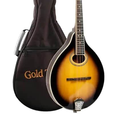 Gold Tone GM-50+ A-Style Mandolin with Pickup and Bag image 1