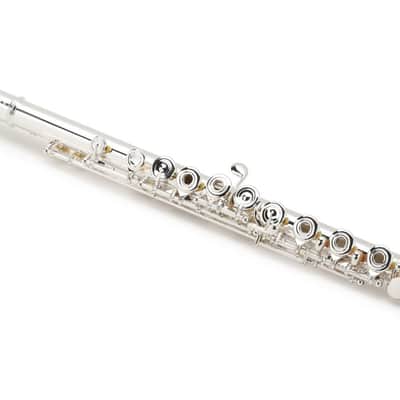 Di Zhao Flutes DZ 801 Intermediate Flute with Split E Mechanism image 1