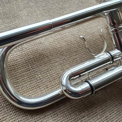 D. Calicchio DT-S1s/3M Dave TRIGG Model | Gamonbrass trumpet image 8