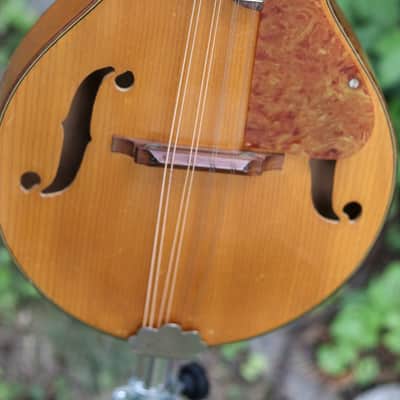 Kay/Harmony mandolin 1950's - natural image 3