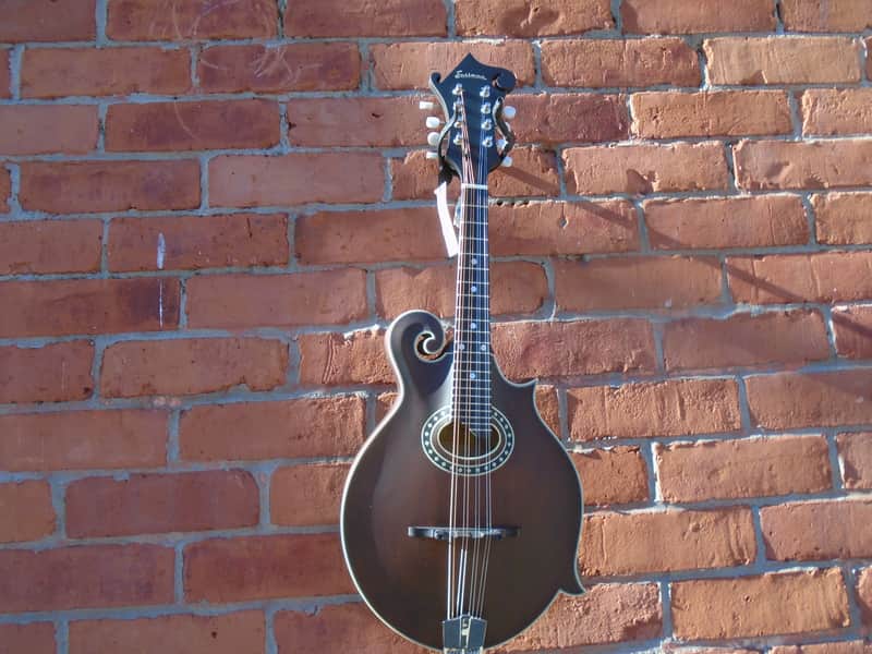 Eastman MD314 mandolin w/bag image 1