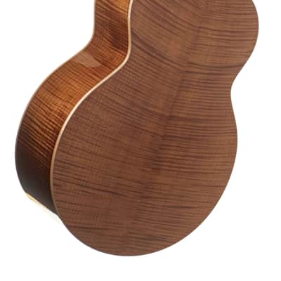 Boucher GR-SG-163T Guitar #GR-ME-1052-J image 4