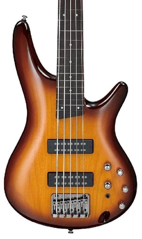 Ibanez Standard SR375EFBBT 5 String Fretless Electric Bass Brown Burst image 1