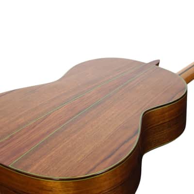 Manuel Adalid 12 Spruce image 17