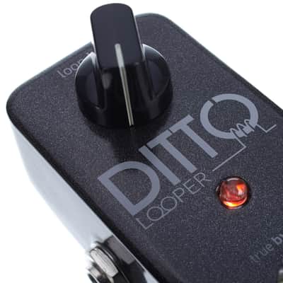 TC Electronic Ditto Looper image 2
