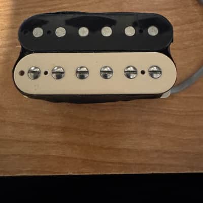 Gibson BB3 2012 - Zebra image 1
