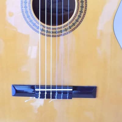 FENDER Gemini 1 Nylon String Classical Acoustic Guitar / Hard Case image 5