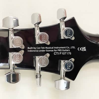 2023 Paul Reed Smith PRS SE DTG Moons Gold Top Electric Guitar w/ Hard Case image 6